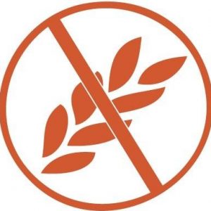 Sin gluten